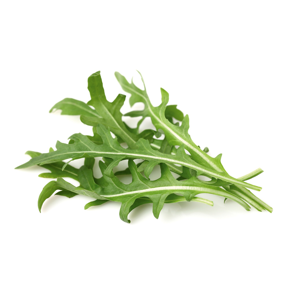 ROKSH Gemüse BIO NATURA Bio Pflücksalat Rucola 100g