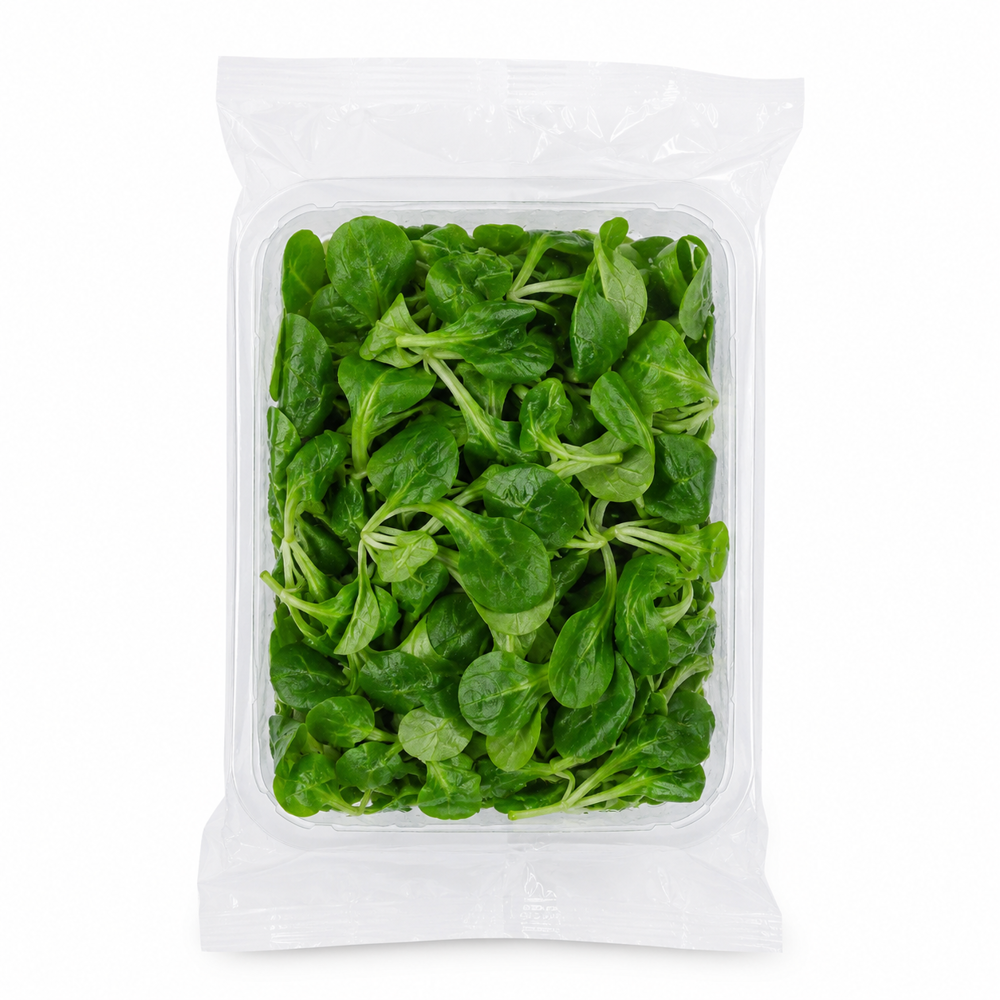 Vogerlsalat