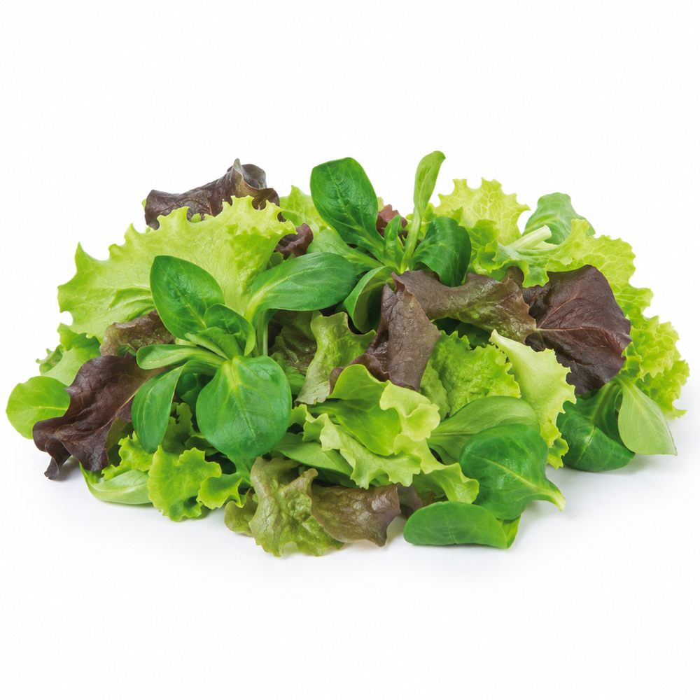 Good Choice Mischsalat