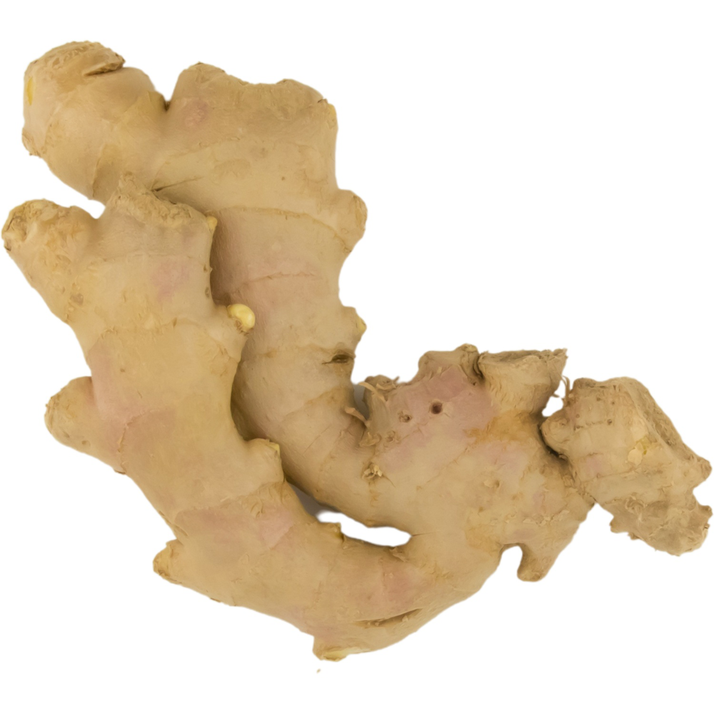 ROKSH Gemüse HOFER MARKTPLATZ Bio Ingwer