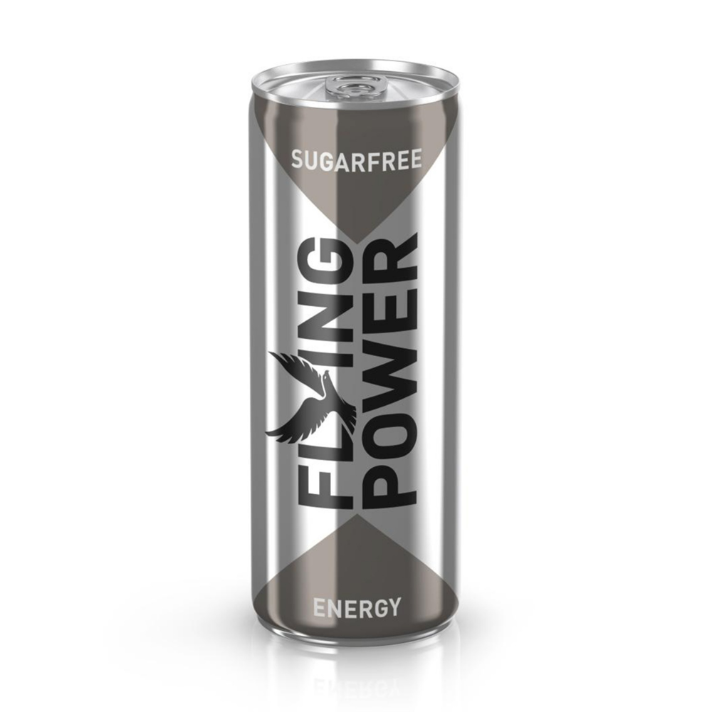 ROKSH Sport & Energy Drinks FLYING POWER Energy Zuckerfrei 0,25l