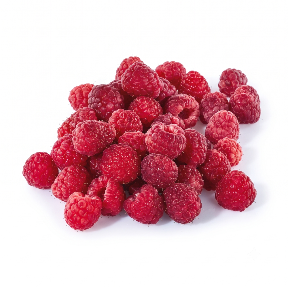 Natur Aktiv Himbeeren Bio