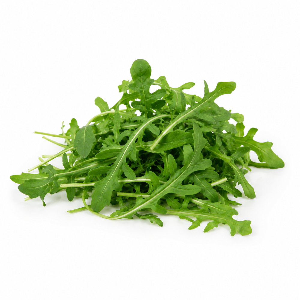 Rucola