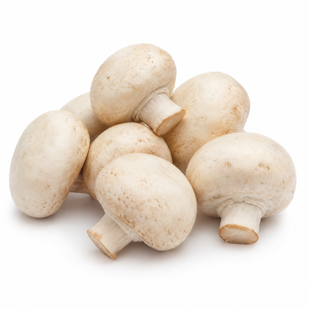 Champignon Weiss